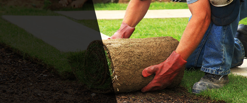 Madisonville Landscapers